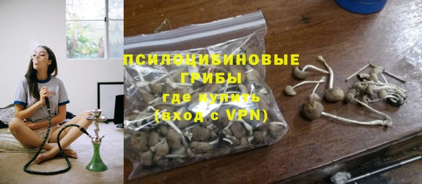 спиды Алексин