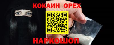 молекула духа Камышлов