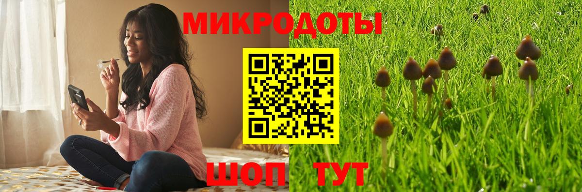 Галлюциногенные грибы Cubensis Магнитогорск